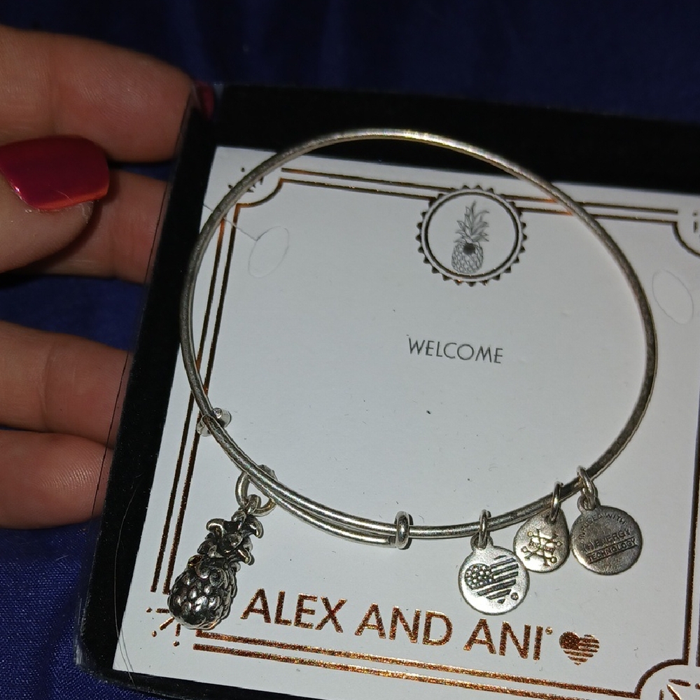 Alex and Ani Silver Pineapple Charm Bracelet